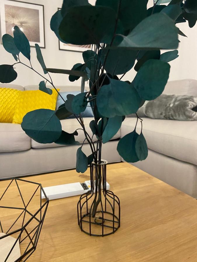 Villa Castanea オパティヤ エクステリア 写真